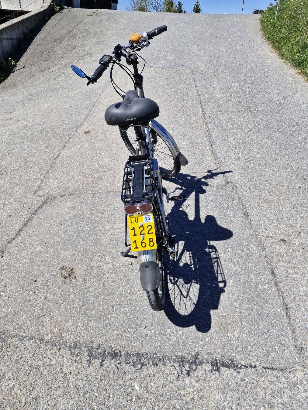 Flyer Biciclette: Flyer hs 45 kmh – Usato da Menzberg venduto da elm_q9ff 3