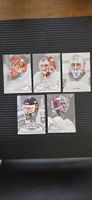 5 cartes hockey Artistry gardien, sportzoo