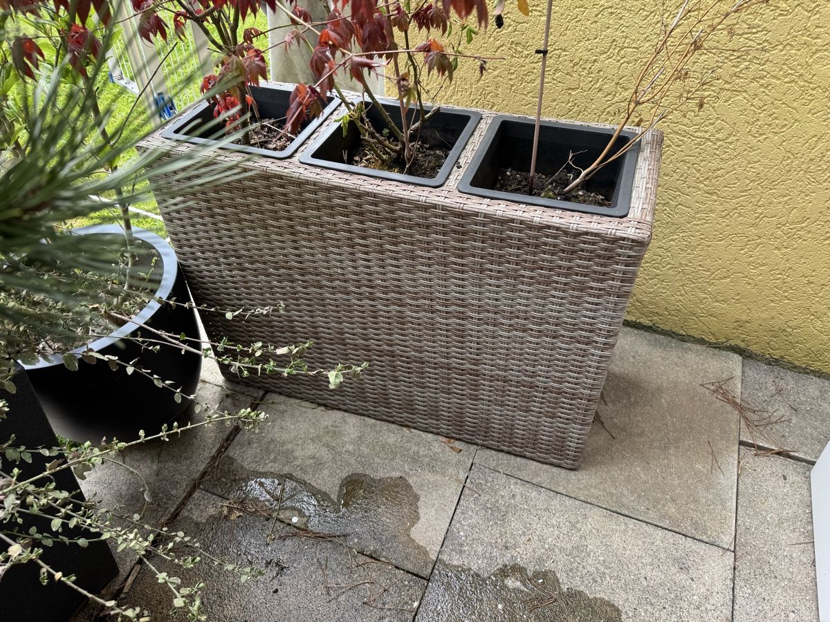 Vasi per fiori: Blumentöpfe – Usato da St. Margrethen SG venduto da DEAONE 3