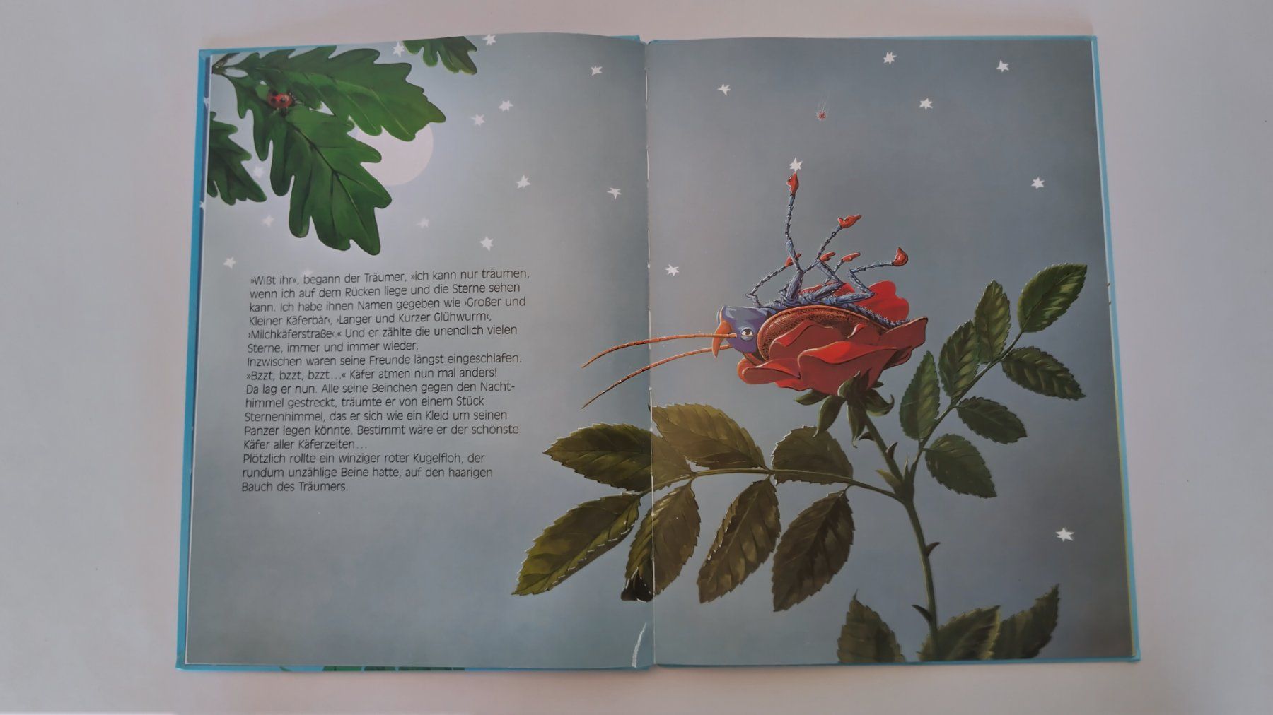 Bücher: Der Sternenkäfer / Bilderbuch 1994 ab Fr. 4.- / 2 Risse – Gebraucht aus Bellach von JingleJerry 3