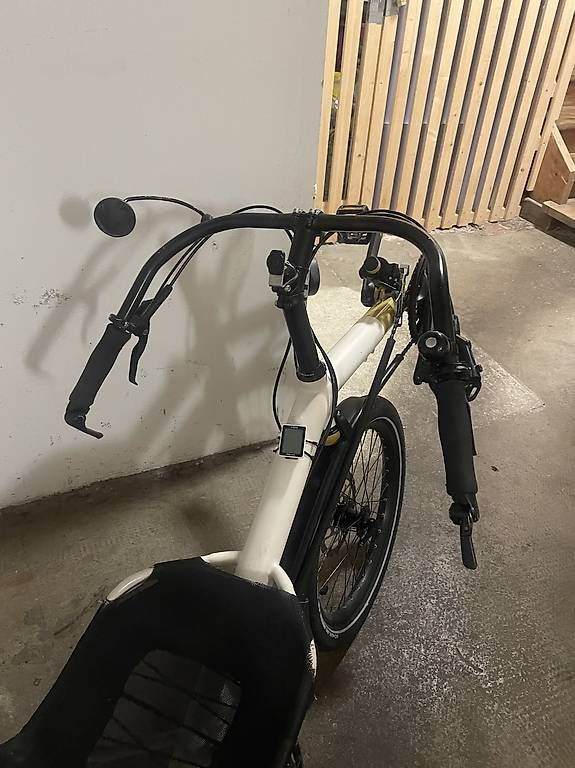 Biciclette: Wolf & Wolf Liegevelo – Usato da Basel venduto da Dshamm 2