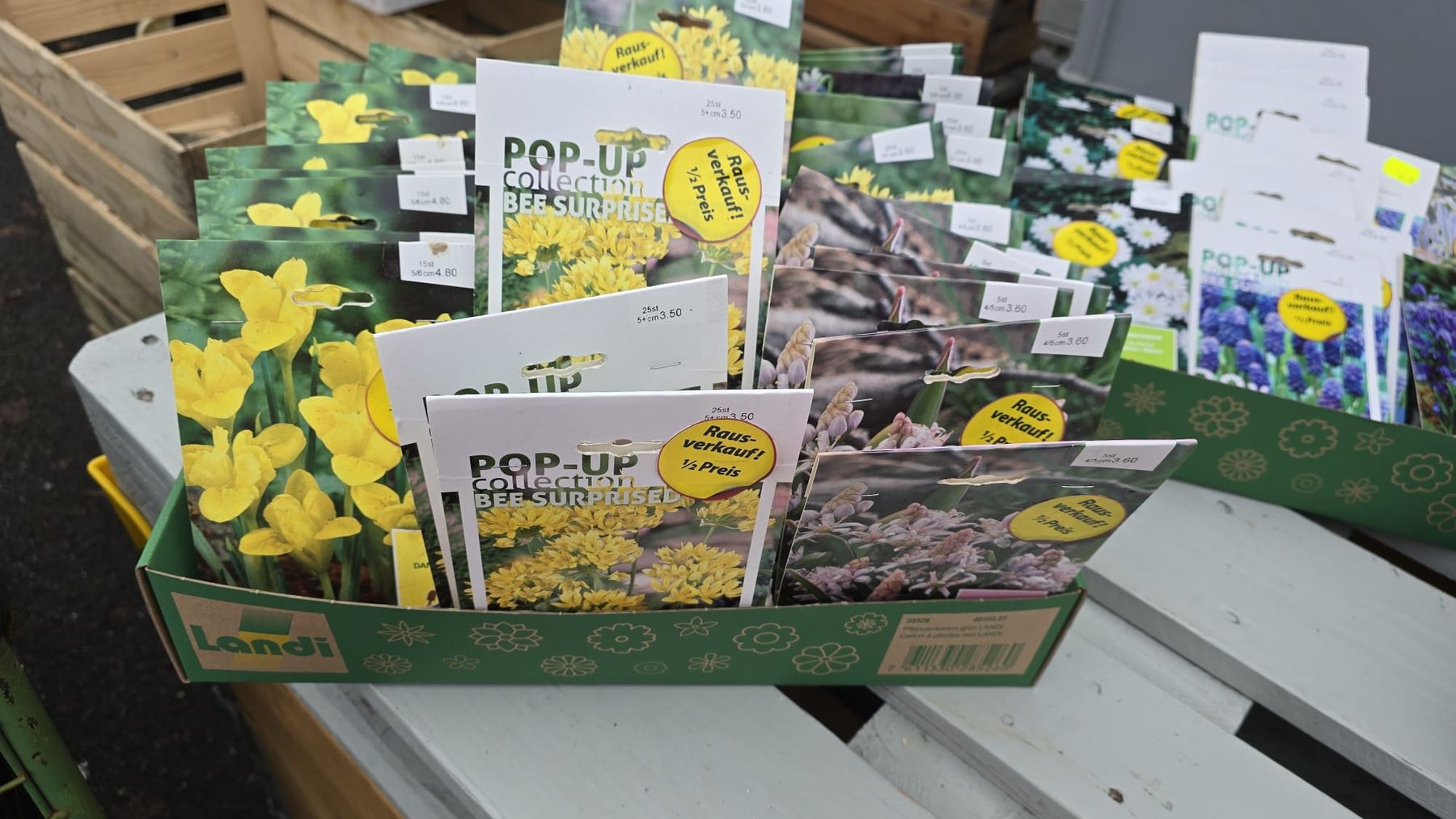 Piante & sementi: Restposten 100 Pack Setzzwiebeln Div. – Nuovo e nell'imballaggio originale da Dussnang venduto da kevin0812 1