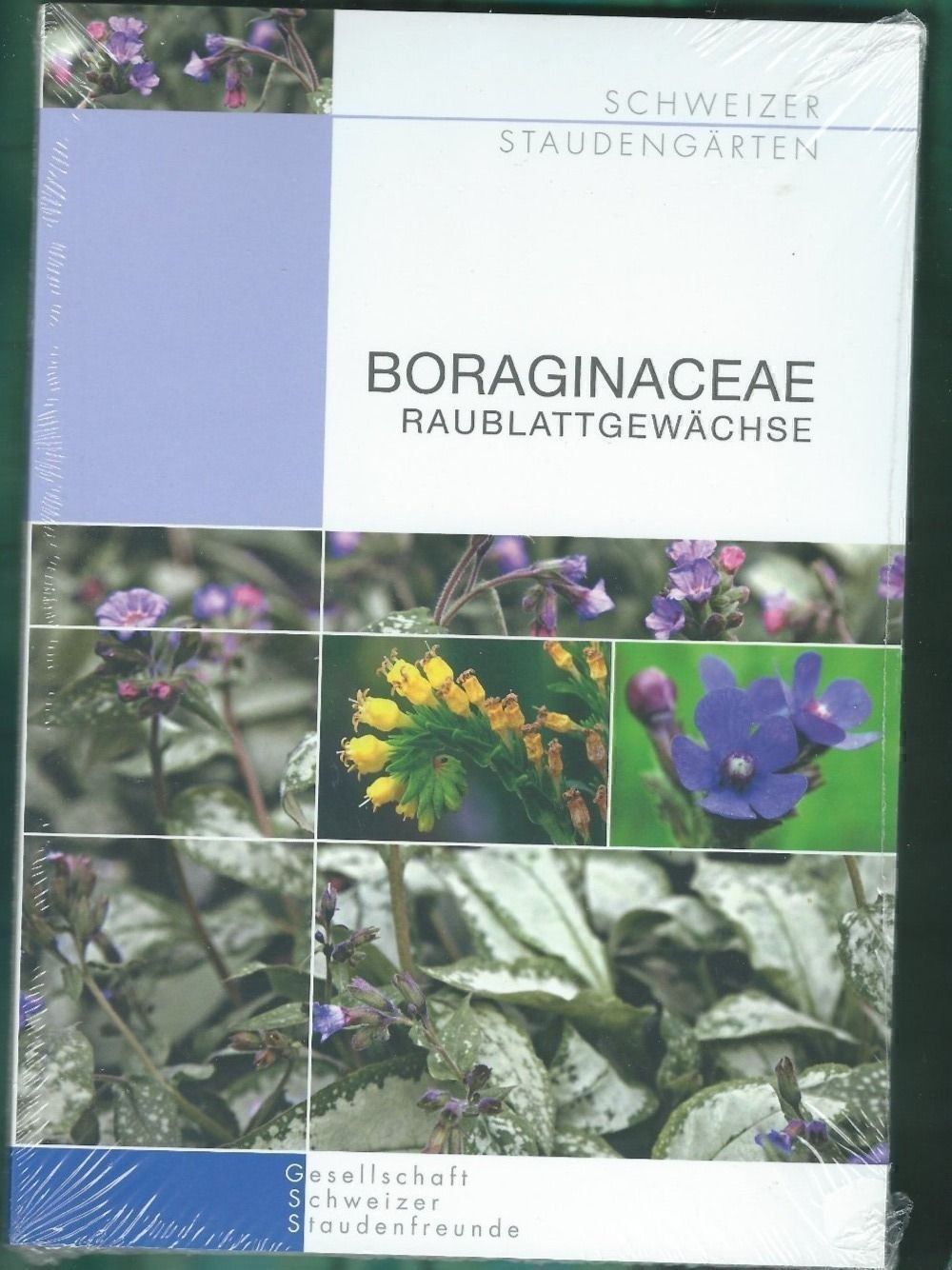 Libri: Boraginaceae,  Raublattgewächse – Nuovo e nell'imballaggio originale da Zürich venduto da t24_de