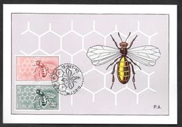 Spanien Maximumkarte Honigbiene Europamarken ET 13.9.1962