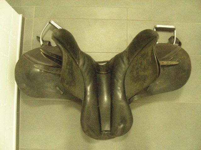 Selle & Accessori: Reitsattel, Pferdesattel – Usato da Oberdorf BL venduto da schnae09 4