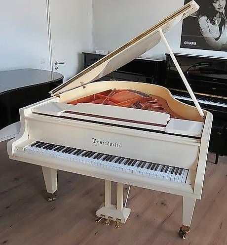 Bösendorfer Strumenti musicali: Bösendorfer 170cm – Usato da Waltensburg/Vuorz venduto da Buddhas 1