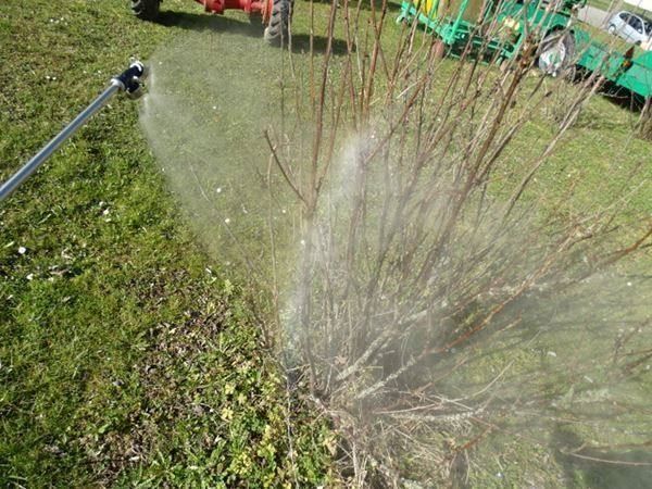 Tecnologia medica: Rückenspritze 0 - 30 Bar – Nuovo e nell'imballaggio originale da Büren/ So venduto da u.limacher 6