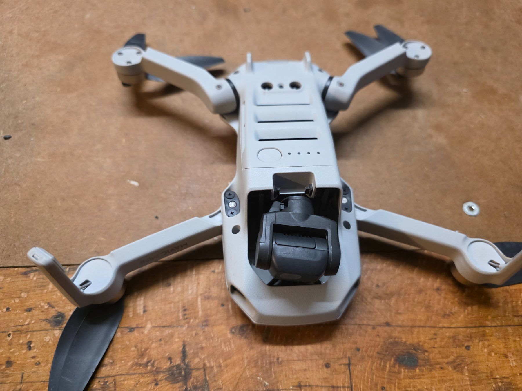 DJI Modellismo RC: DJI Mavic Mini – Difettoso da Hinterkappelen venduto da SwissSniper 3