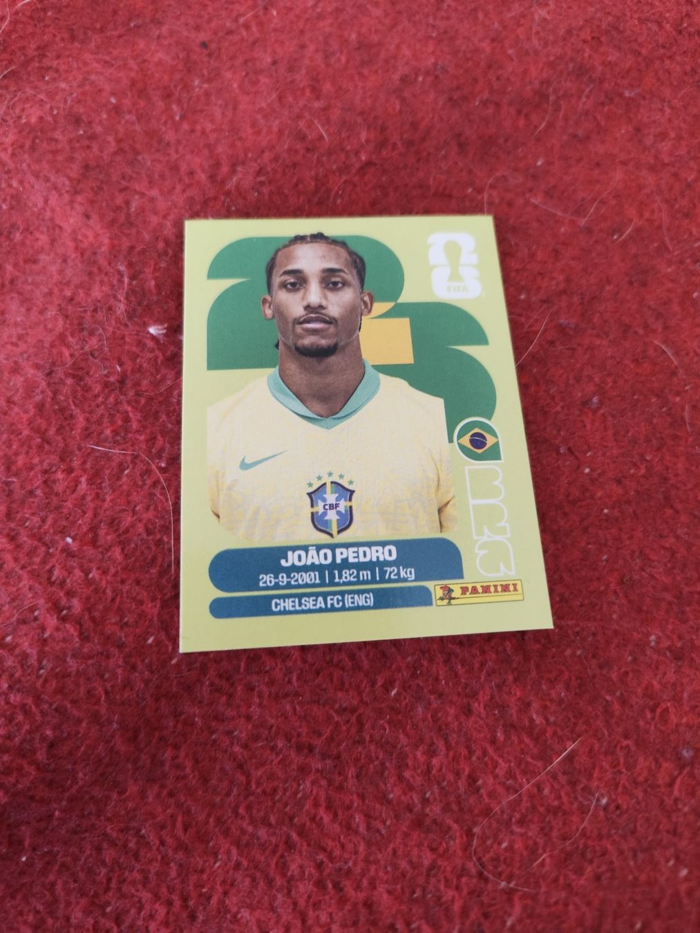 Panini Carte collezionabili: Panini Bild Bra 16 – Nuovo (secondo la descrizione) da Lieli venduto da Maholo