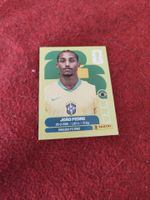 Panini Bild Bra 16
