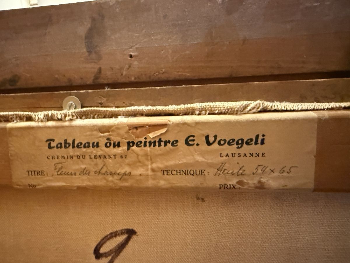 Dipinti: Tableau ancien signé E. Voegeli, école vaudoise – Usato da echallens venduto da doudou010