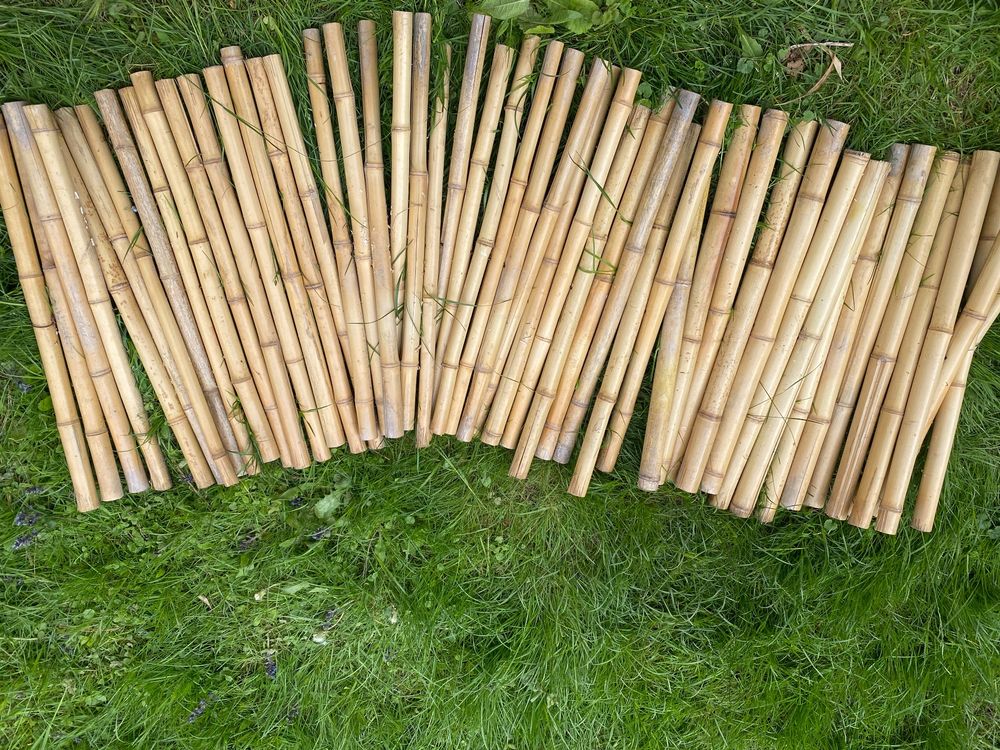 Bambusrohre (z.B. für Sichtschutz) Kaufen auf Ricardo