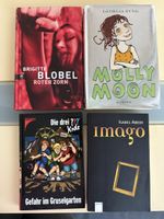Bücherpaket Kinder / Jugend drei ??? Blobel Molly Moon Abedi