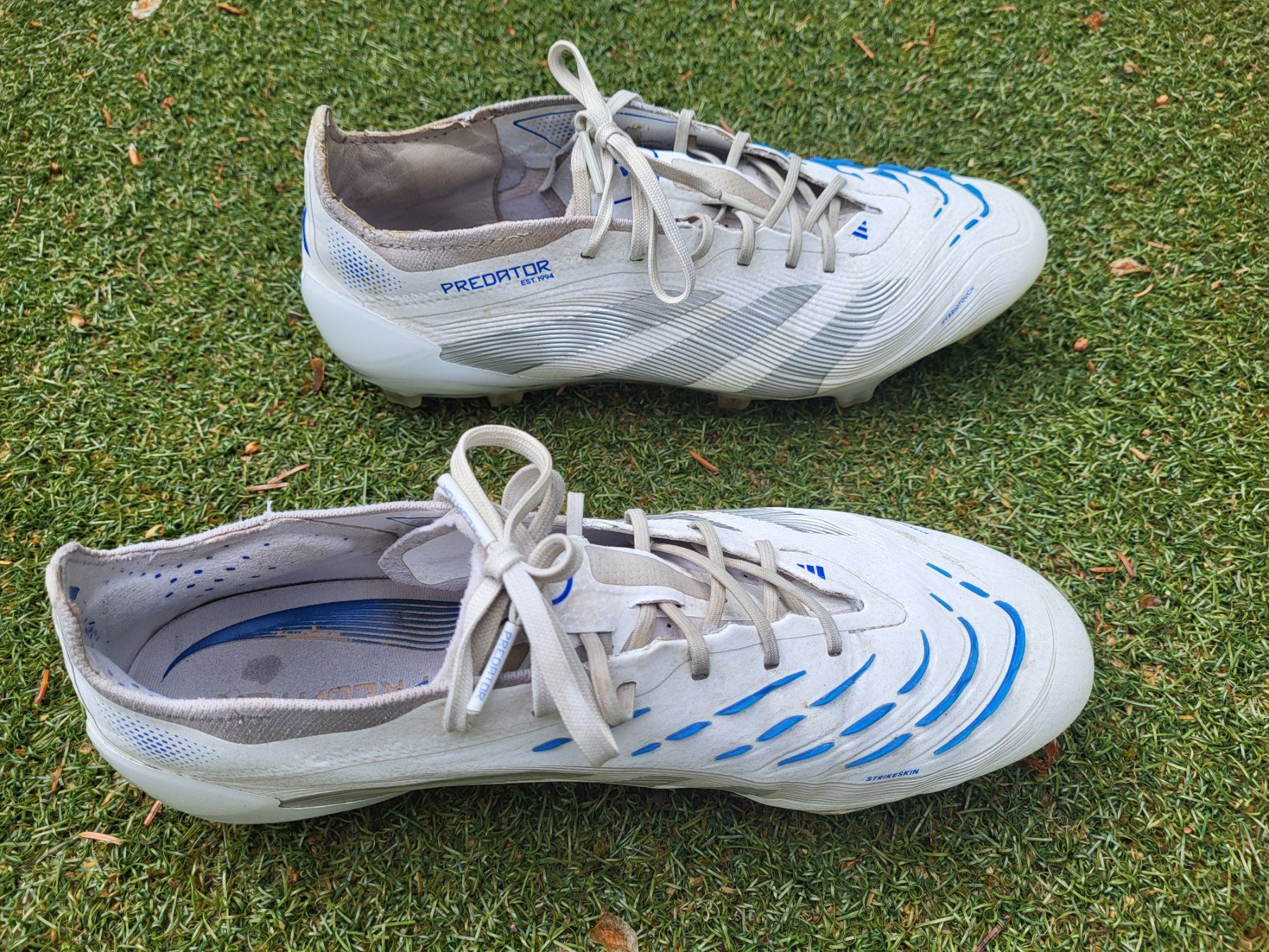Scarpe da uomo: Fussballschuhe "Predator" – Usato da Uster venduto da gurust 2