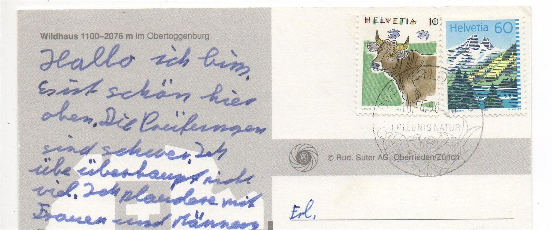 Cartoline postali: Gruss aus WILDHAUS Postauto – Usato da Jona venduto da philajona 1