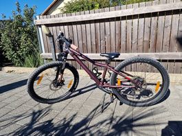 Scott Kindervelo 24x2.20
