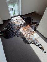 Grosser echter Kuhfell-Teppich (braun-schwarz)