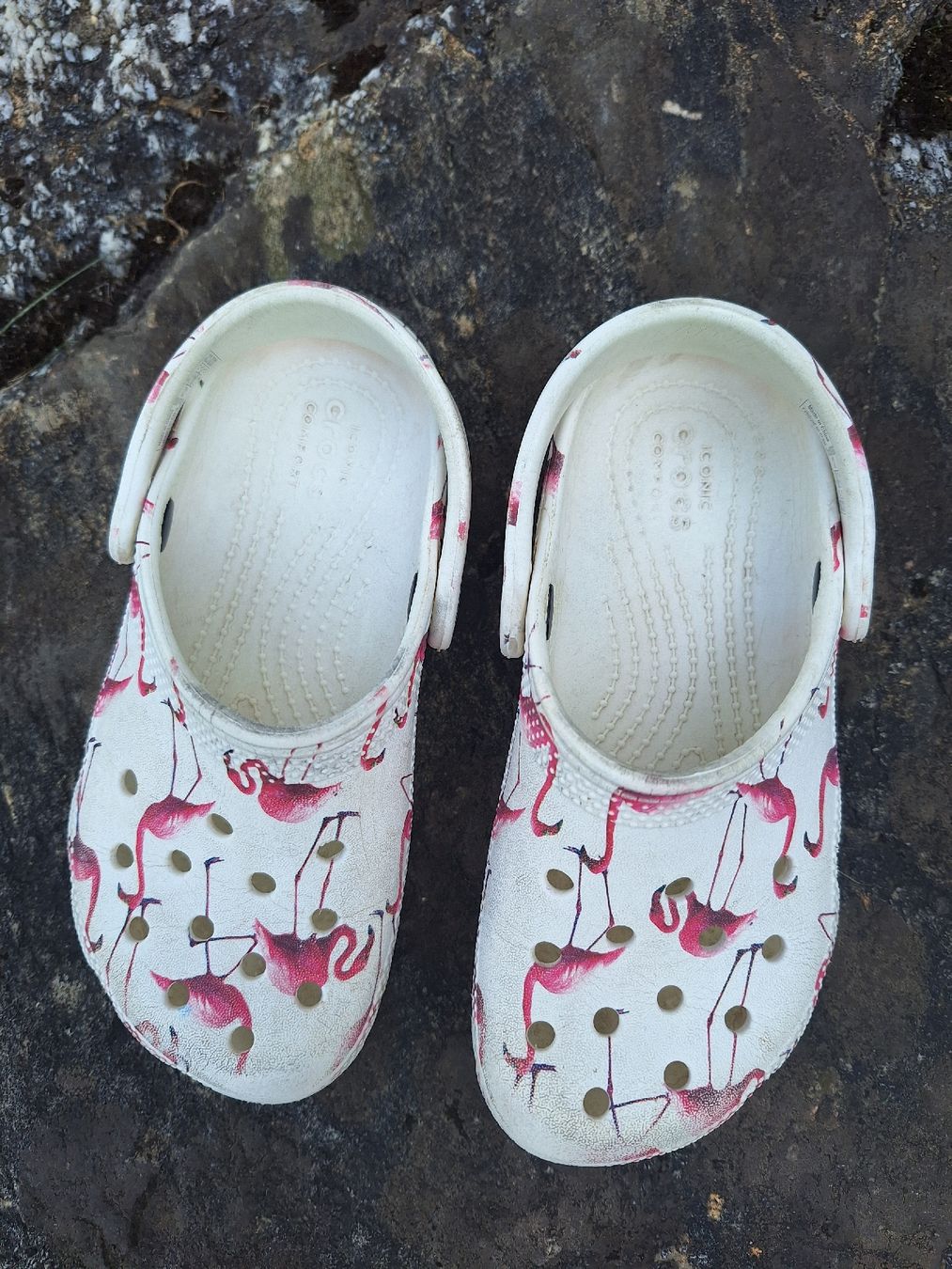 Crocs Scarpe per ragazze: Crocs 29-30 mit Flamingo – Usato da Frutigen venduto da Autoflitzer