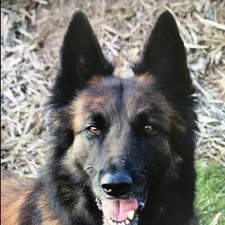 Profile image of sennapower11