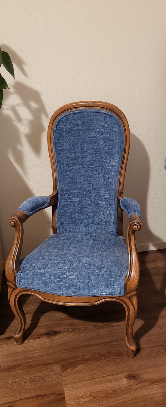 Poltrone: Fauteuil Voltaire – Usato da Vorderthal venduto da fullippon 1