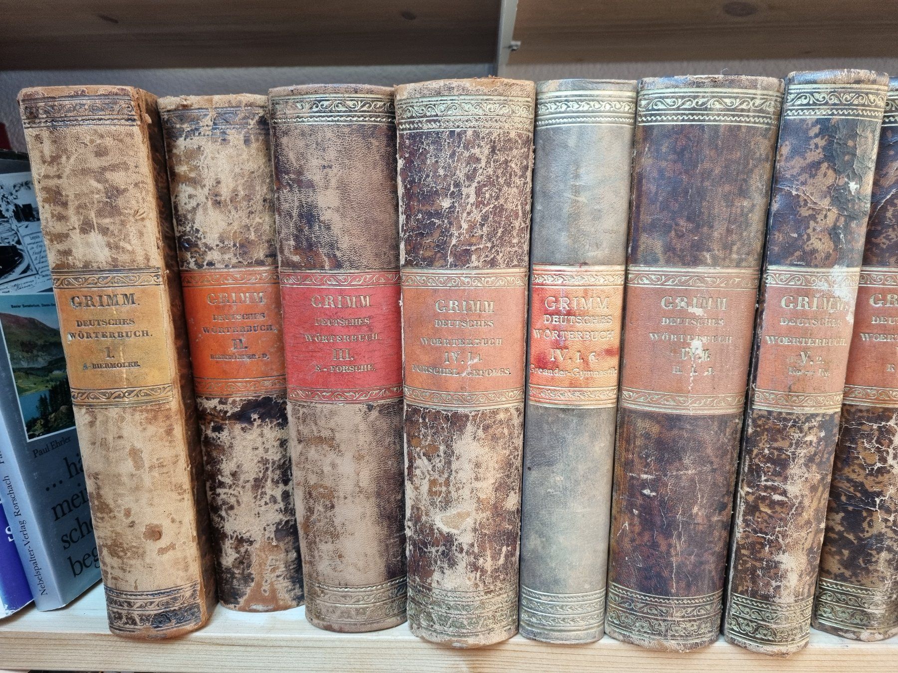 Libri: Originalausgabe Grimms Wörterbuch, 19 Bänder – Usato da Bern venduto da serainaviola 2