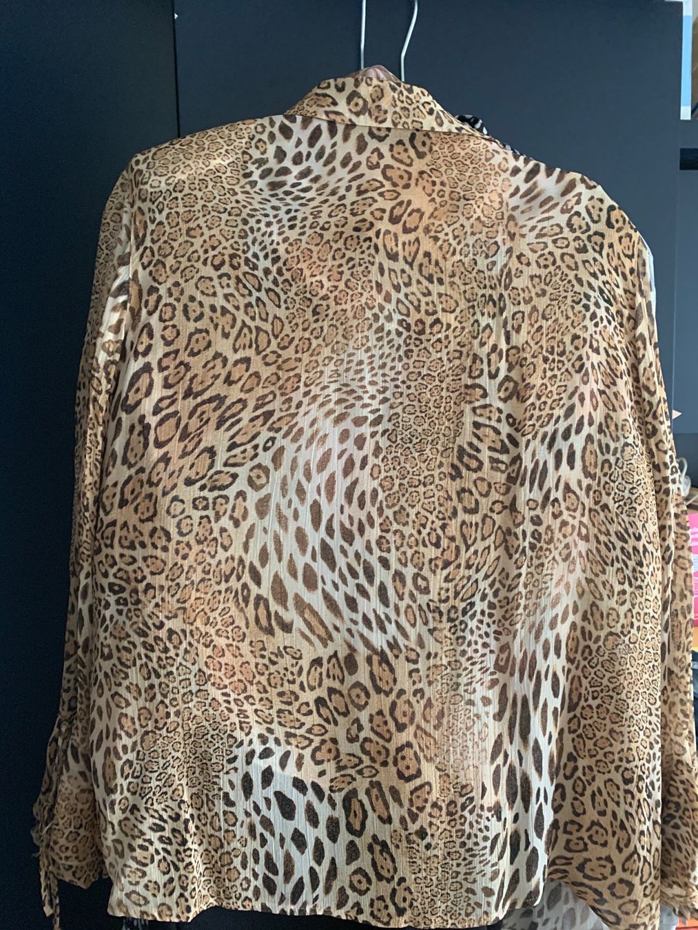 C&A Camicette: Leoparden Damenbluse – Usato da Triengen venduto da nes_l8cj 1