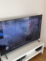 LG TV mit Displayschaden