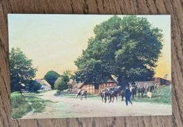 Alltagsleben, Pferde, Social-History-Karte