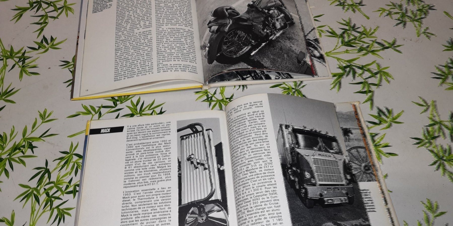 Bücher: 2 livres – Gebraucht aus neuchatel von Mictou 5