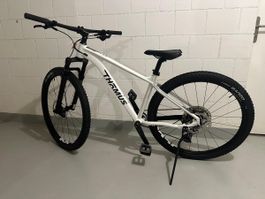 Thömus Tomcat Bike NEU
