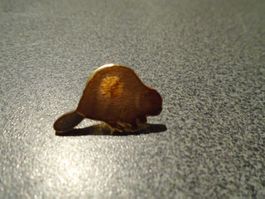 Pin Biber