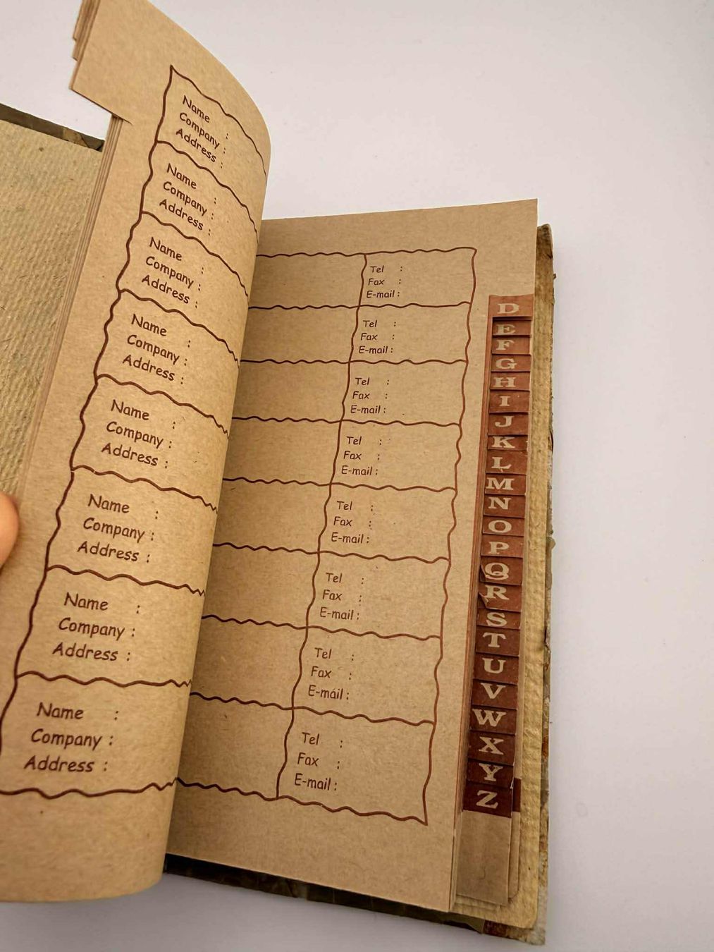 Bücher: Vintage Pflanzen-Dekor✅ – Neu (gemäss Beschreibung) aus Riehen von edu_92w7 4