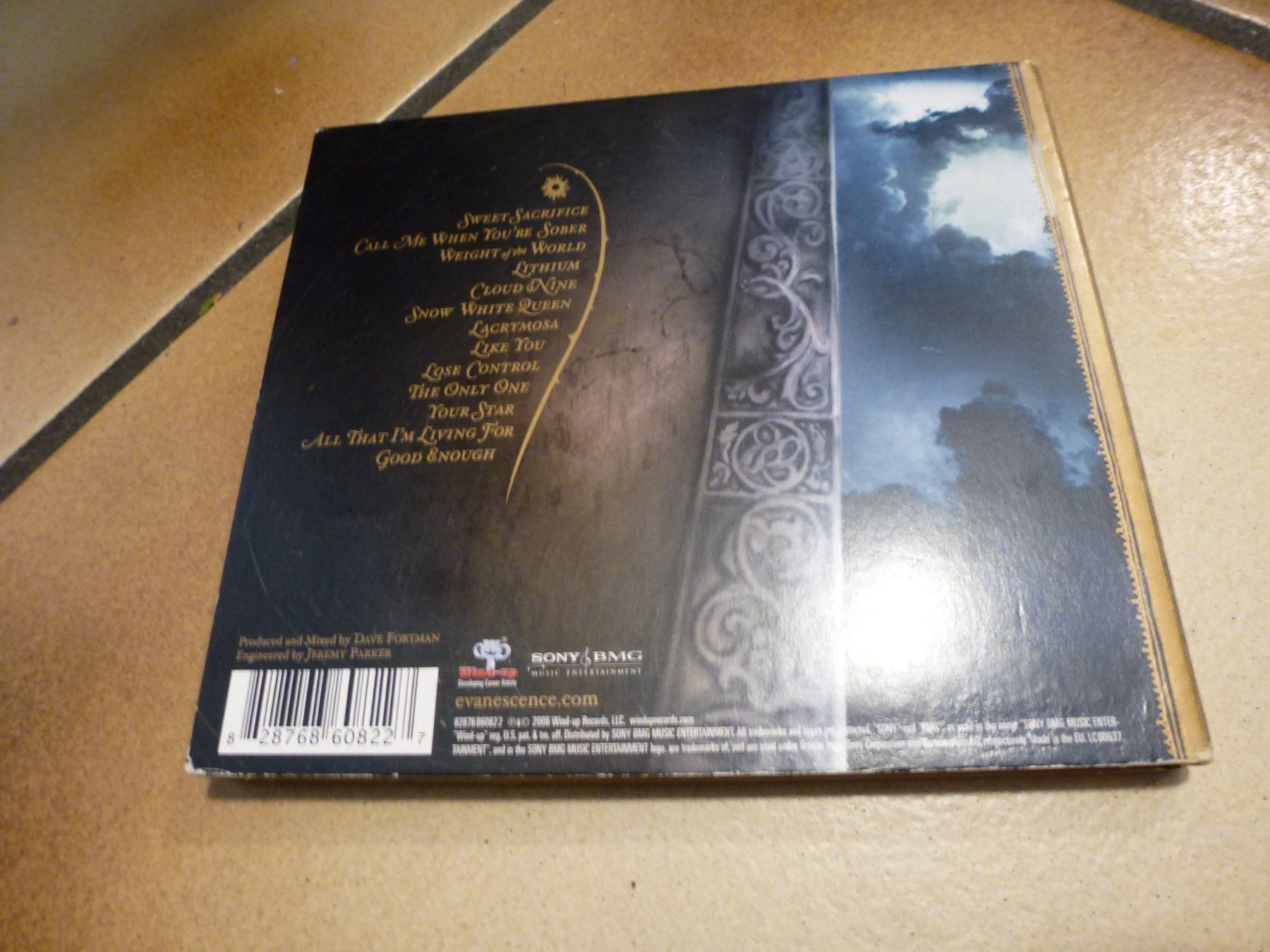 CD: Evanescence-The-Open-Door CD – Usato da Olten venduto da Disc-Ausverkauf 1