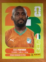 Panini CIV11