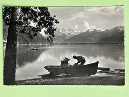 Bords du Lac Léman - près de Montreux