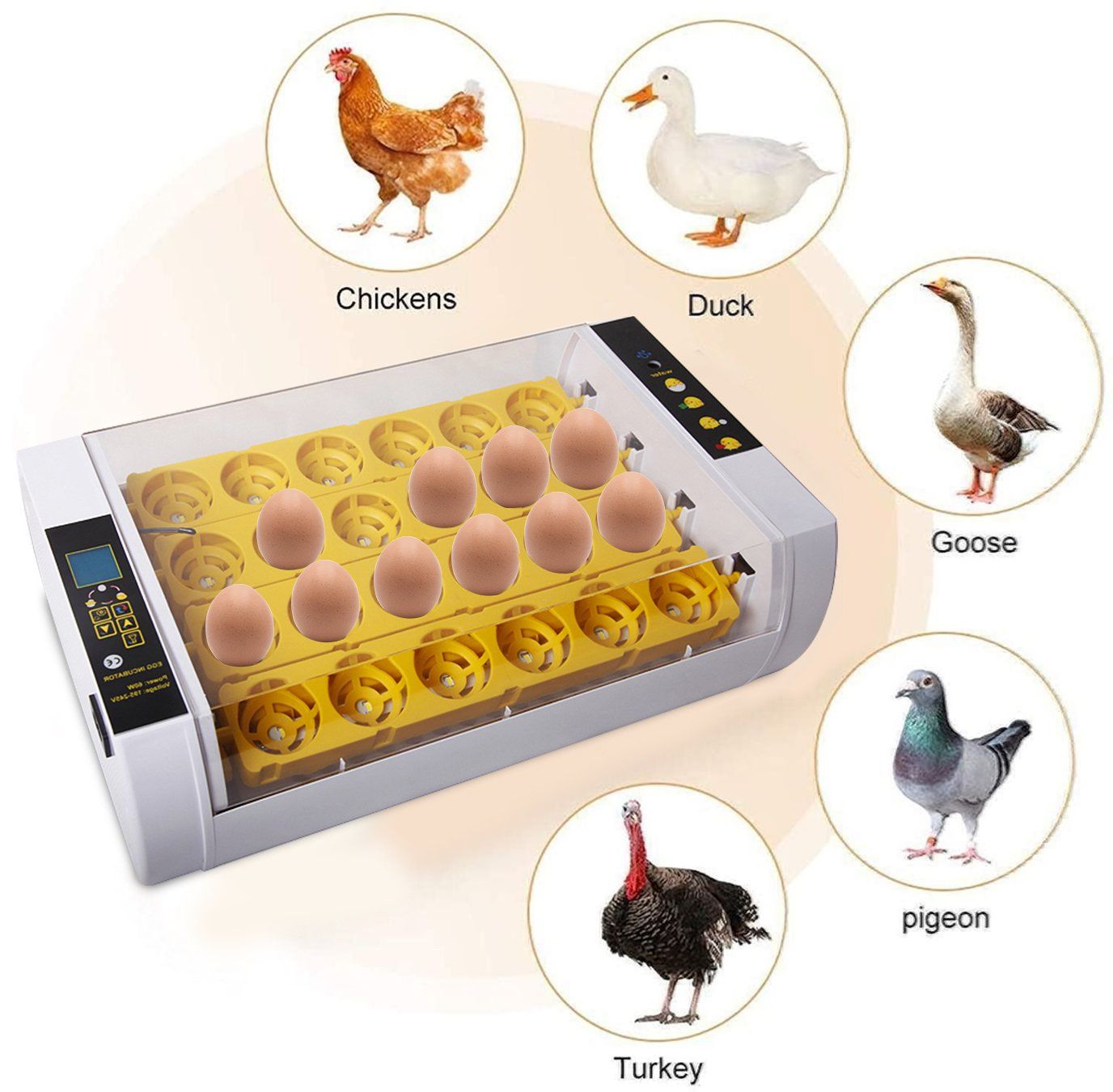 Altro in Accessori per animali: +24 Eier Brutmaschine Brutapparat – Nuovo (secondo la descrizione) da Thun venduto da Laoye 5
