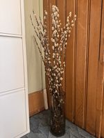Weidenkätzchen Strauch mit Vase
