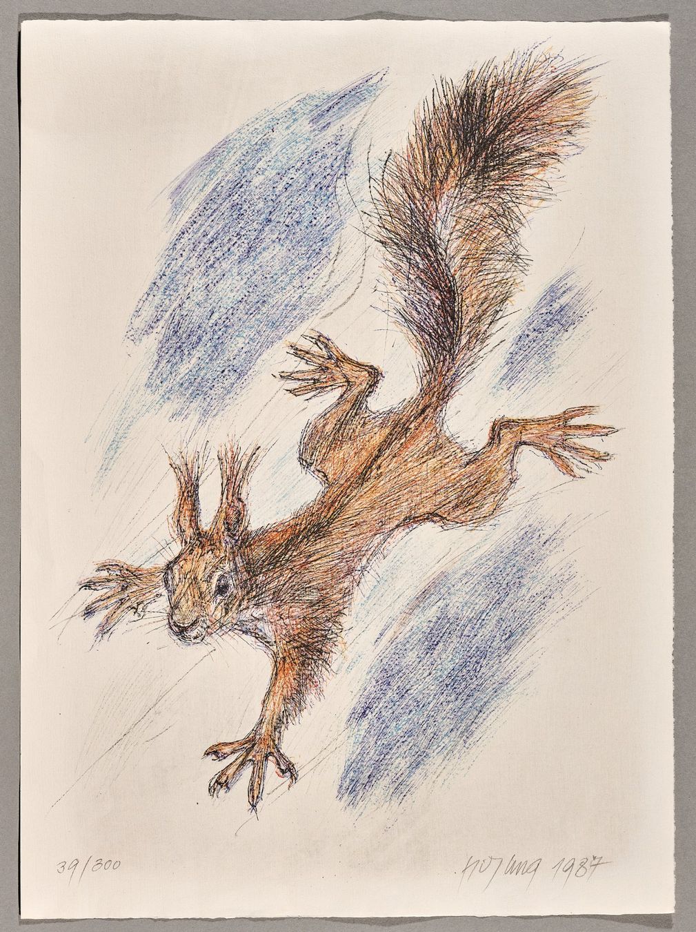 Grafica & Litografie: Fritz Hug Lithografie "Eichhörnchen", handsigniert – Nuovo (secondo la descrizione) da Zürich venduto da CPH56