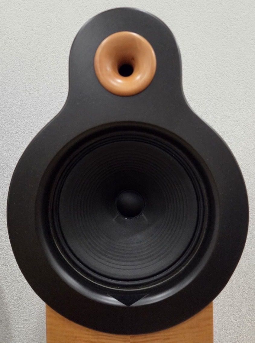 Casse acustiche: Bastanis APOLLO - Open Baffle Lautsprecher - TOP – Nuovo (secondo la descrizione) da Wald ZH venduto da RIVAAUDIOEMOTIONS 5