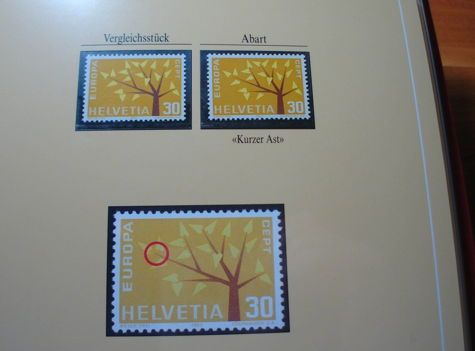 Alle Briefmarken: Abart Junger Baum 1962 **, "Kurzer Ast" – Gebraucht aus Niederwil AG von morostahu