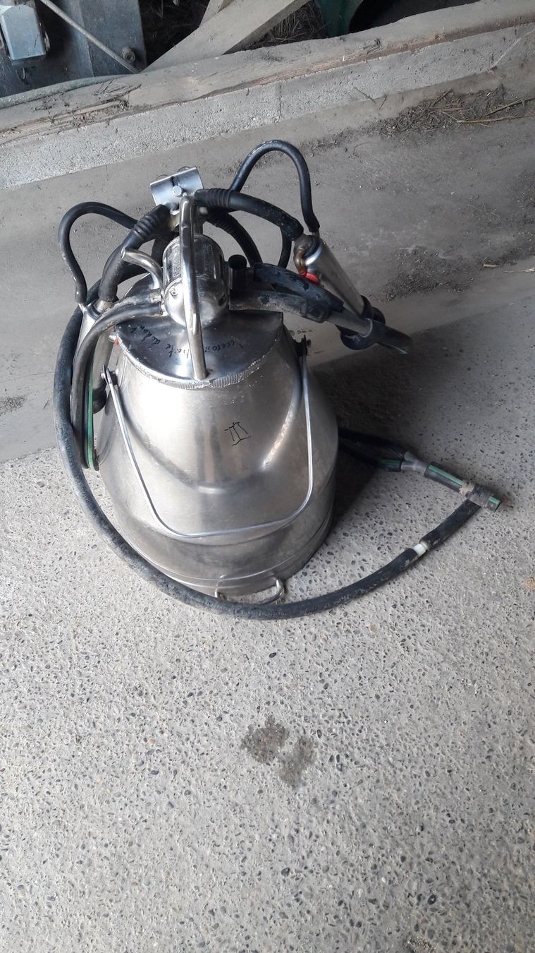 Tutte le macchine: Melkmaschine Westfalia nummer 3 – Usato da Laufen venduto da Mann455