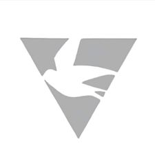 Profile image of sanctuary-collectors