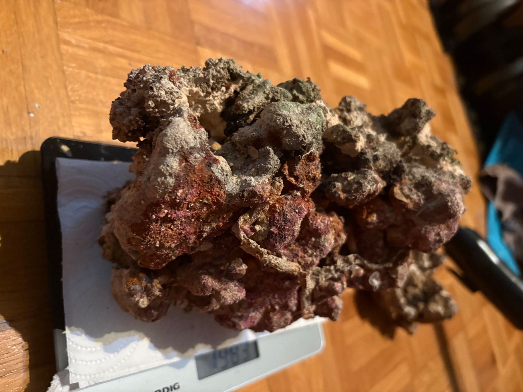 Acquari: Totes Lebendgestein für Aquarium – Usato da Genève venduto da papillon2976 1
