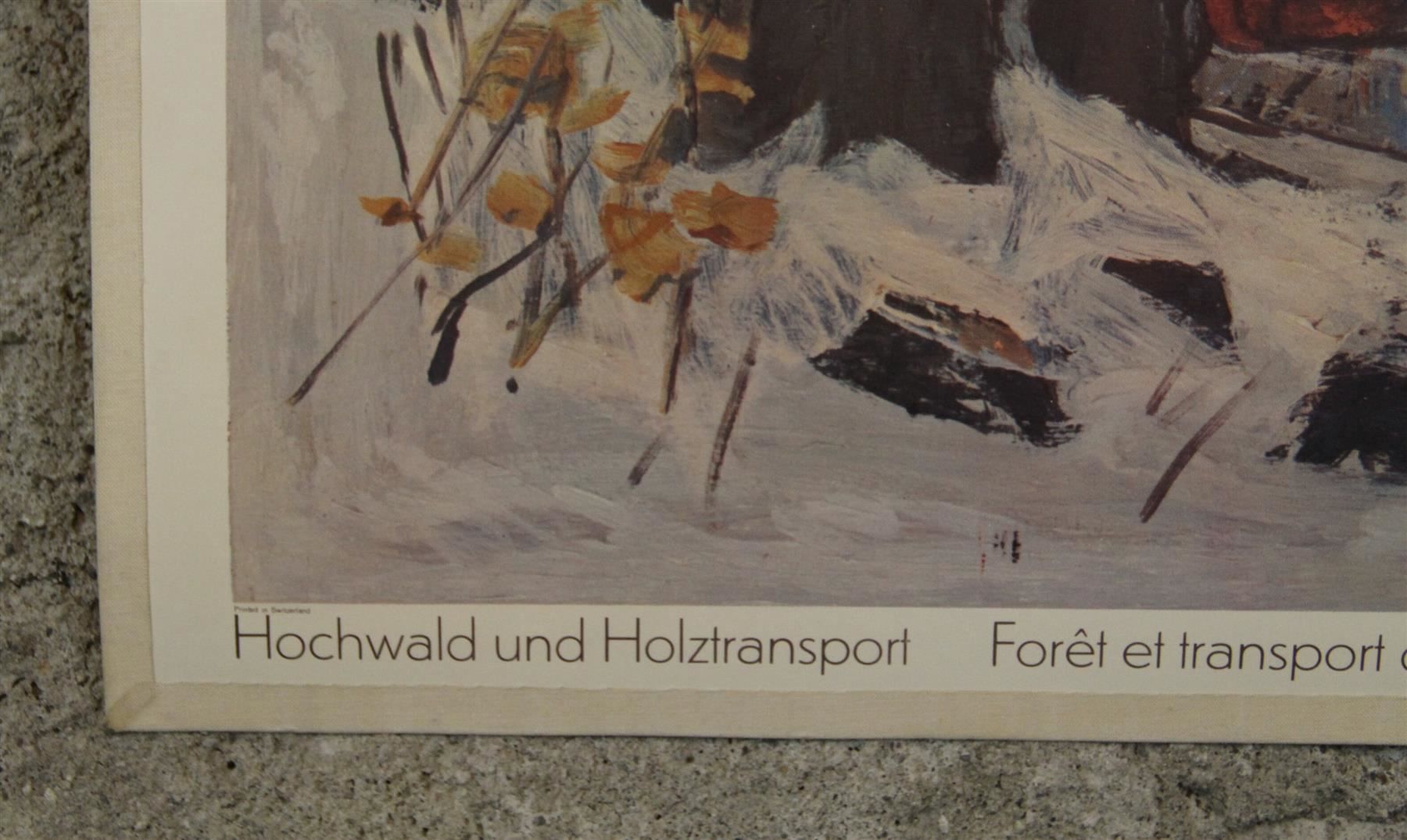 Foto & Immagini: Schulwandbild "Hochwald & Holztransport" – Usato da Birrwil venduto da brandschatz_birrwil 5