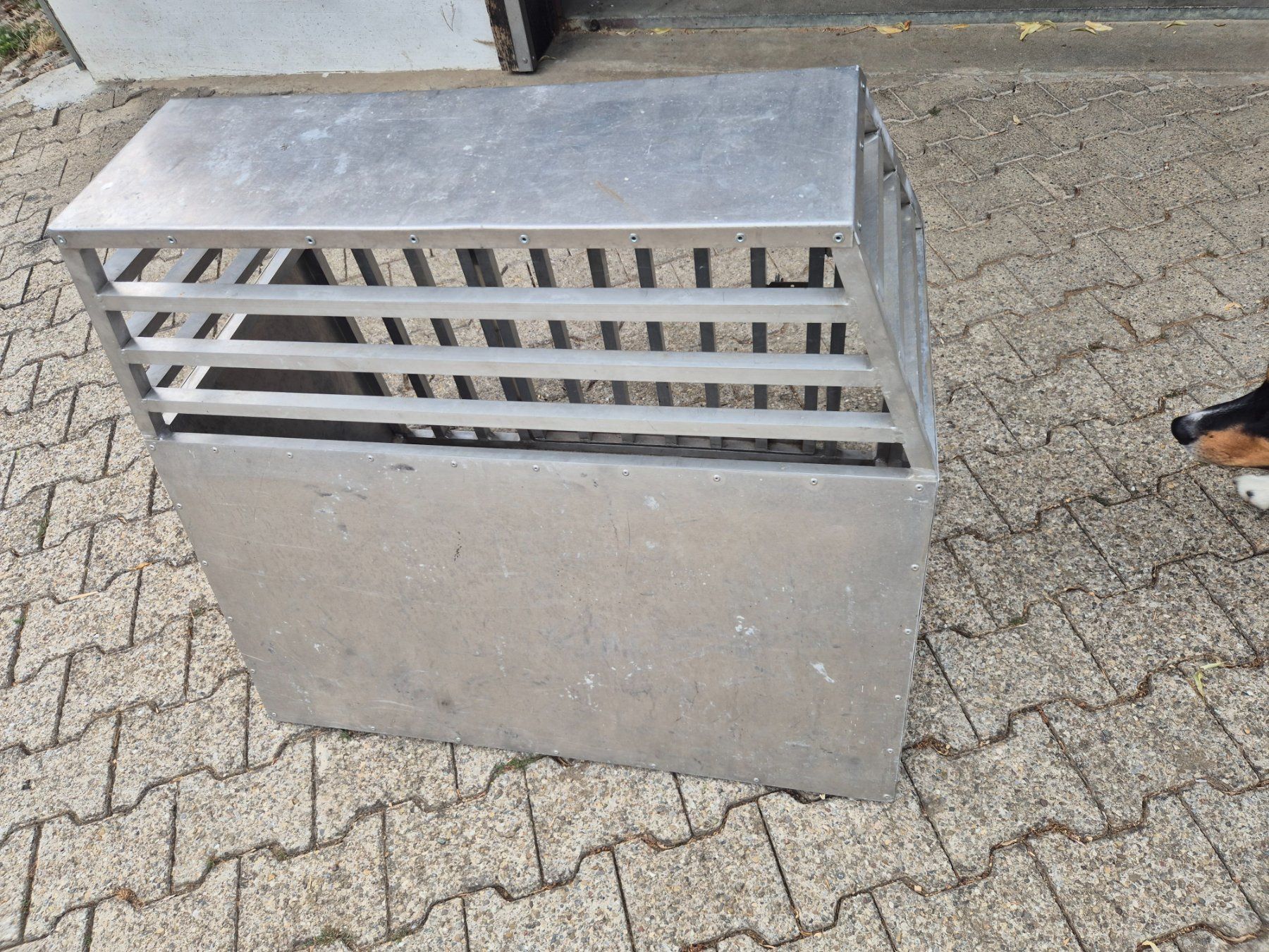 Cucce & Letti: Hundebox – Usato da Stein AR venduto da Bienli4 5