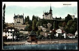 AK Wädenswil, Blick vom Wasser auf Wädensweil