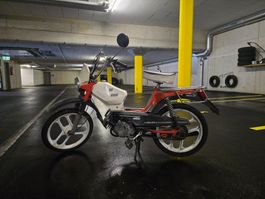 Pony GTX 503 | 3'100 km | Fahrbereit | Ausweis vorhanden