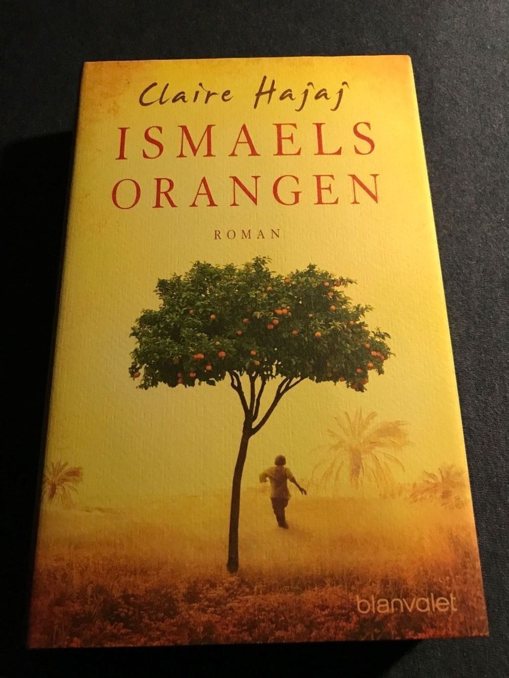 Libri: Claire Hajaij, Ismaels Orangen – Usato da Schliern b. Köniz venduto da Corinu59