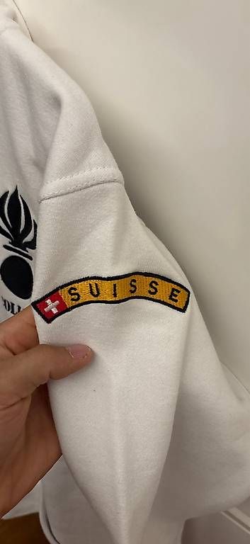 Pulls & Sweat-shirts: MILITÄR Pullover  – D'occasion à Lenzburg par benuzerflorian 1