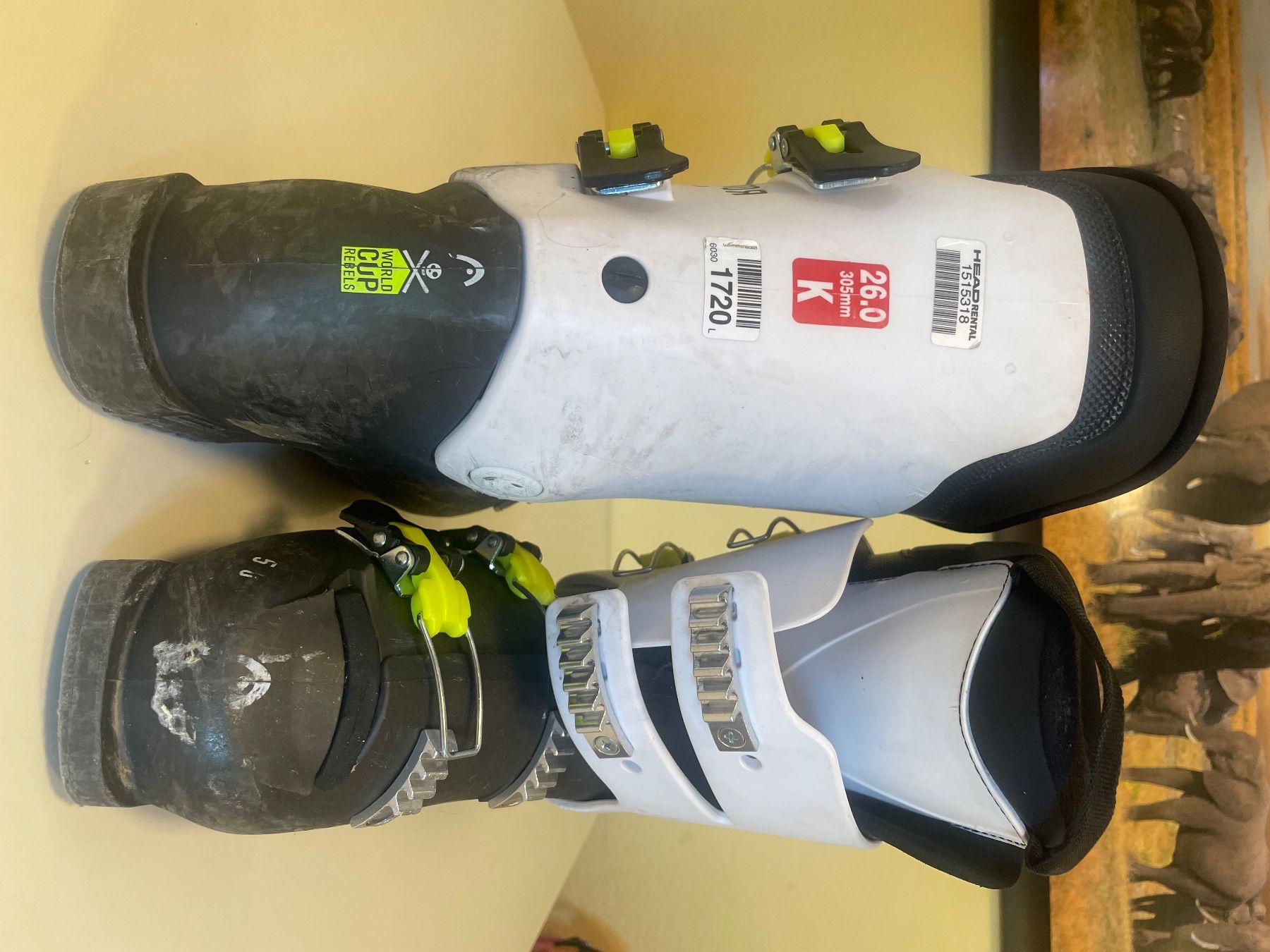 Head Herrenschuhe: Skischuhe Gr.40 – Gebraucht aus Tentlingen von steffschw 1